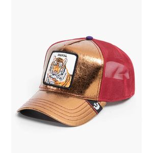 Gorras 101