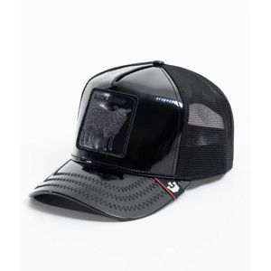 Gorras 101