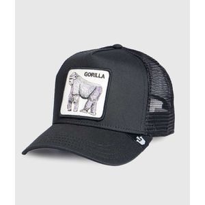 Gorras 101