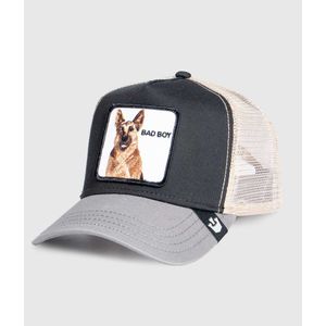 Gorras 101