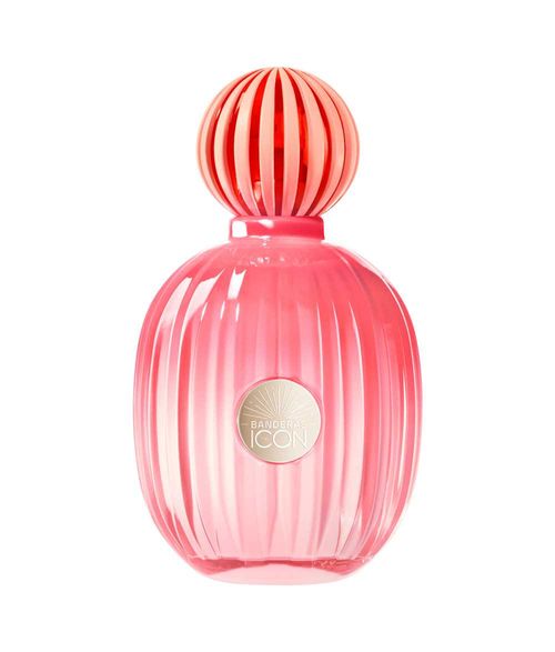 Perfume Antonio Banderas The Icon Splendid Mujer 100ml EDPid