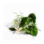 image-ce287bfd71584ae380409da5ebc43714